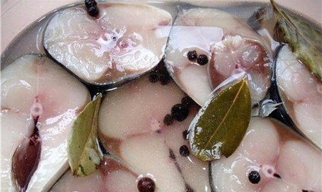 скумбрия