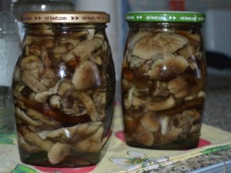 Маринованные опята