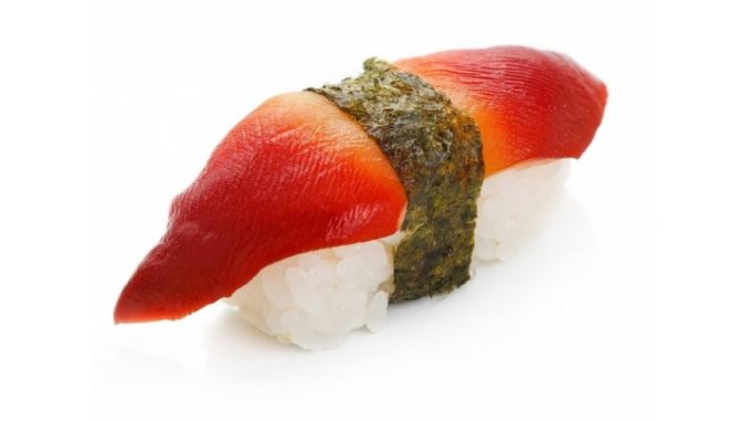 hokkigaj