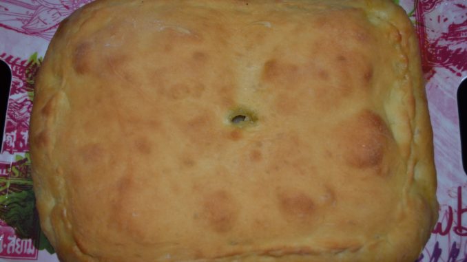 pirog15