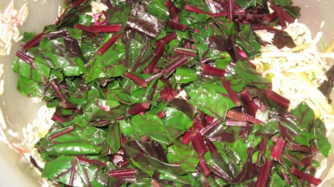 salat-iz-svekolnoj-boty