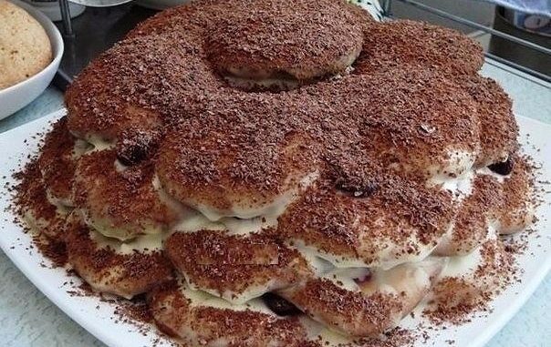 tort-cherepaha