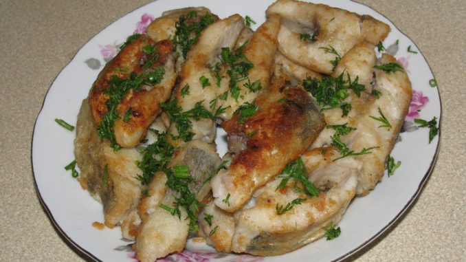 Жареный судак