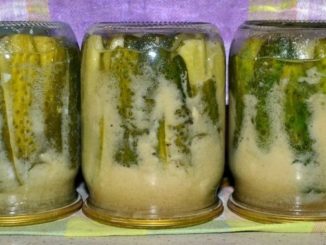 Огурцы, консервированные в горчице