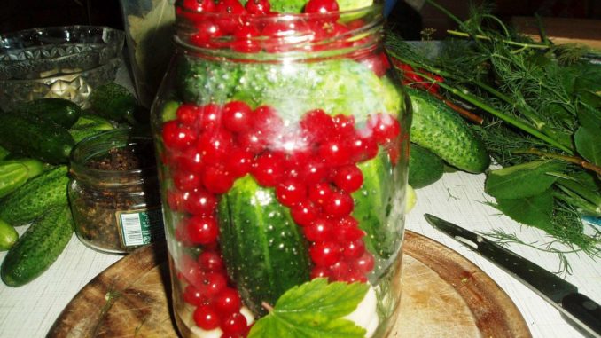 Маринованные огурцы с красной смородиной Маринованные огурцы с красной смородиной