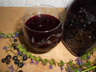 Спотыкач на черной смородине