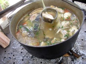 Уха рыбацкая