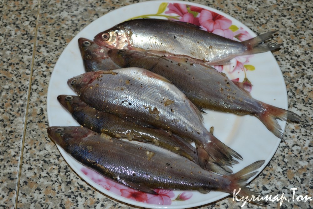 Жаренный сырок с чесноком