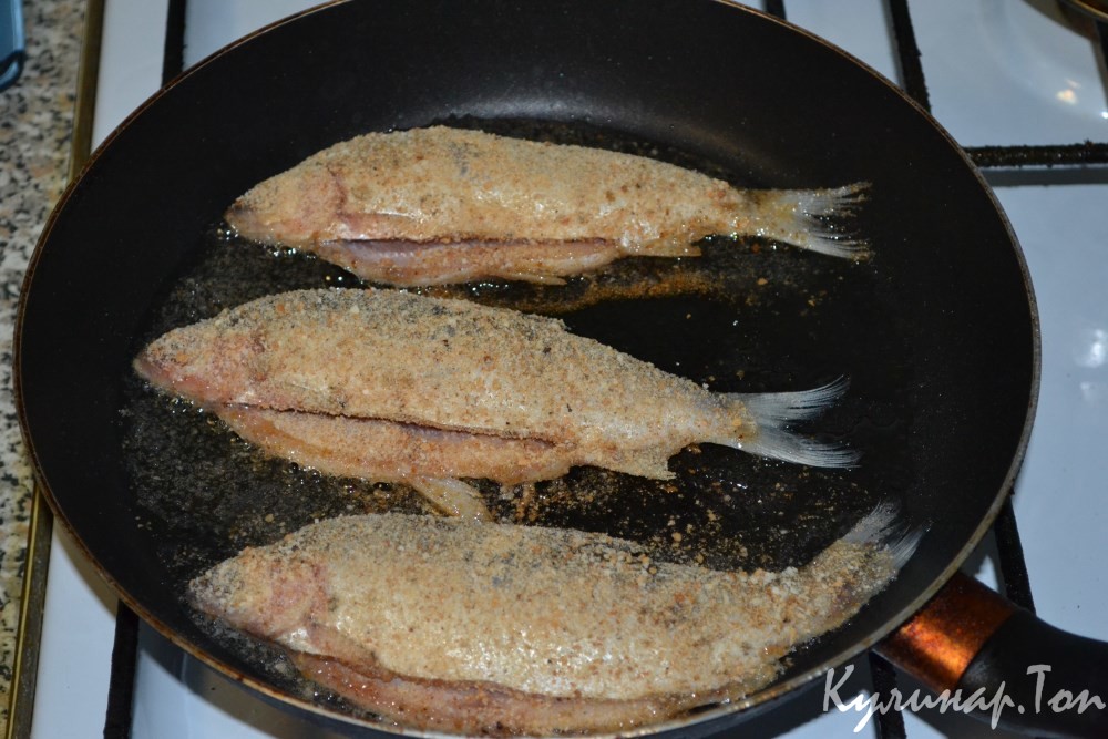 Жаренный сырок с чесноком