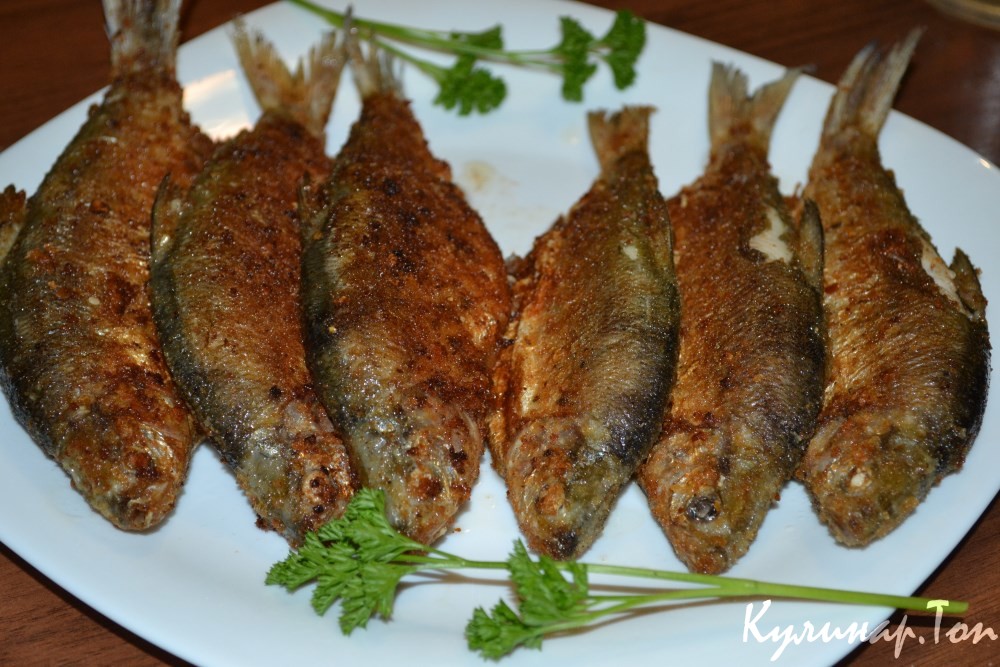 Жаренный сырок с чесноком