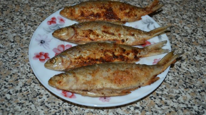 Сырок с лимоном-07 Жареный сырок с лимоном
