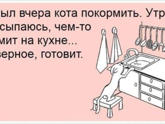 Кулинарный юмор в картинках