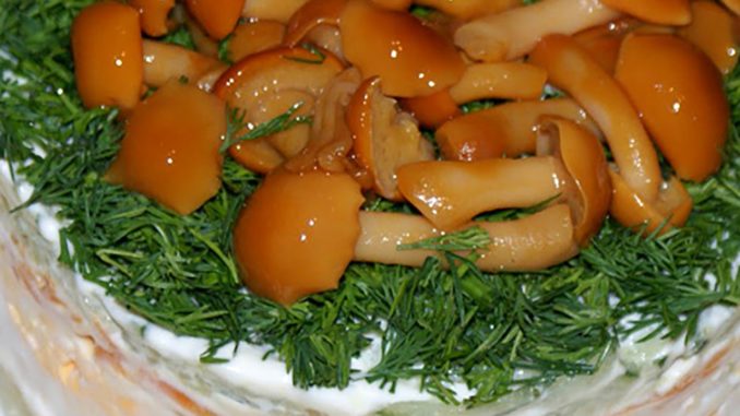 Салат с маринованными опятами и курицей Салат с маринованными опятами и курицей