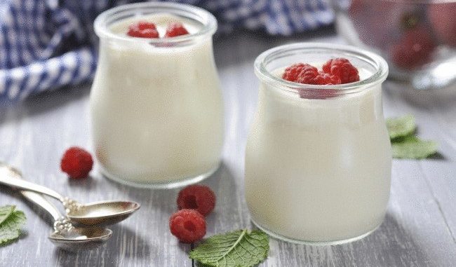 Домашний йогурт Домашний йогурт