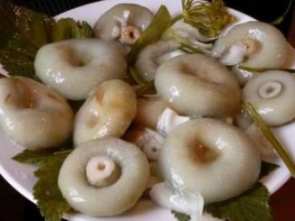 Соленые грузди- холодный способ