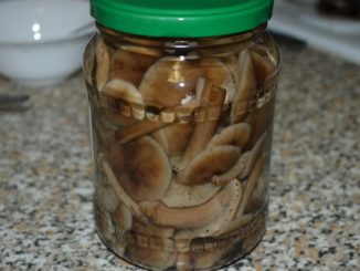 Маринованные опята с растительным маслом