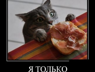 Кулинарные демотиваторы