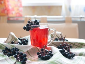 Компот из черноплодной рябины