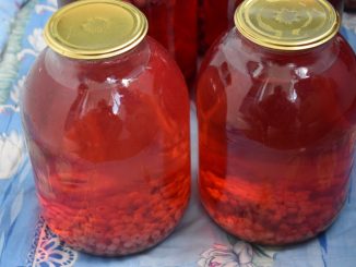 Компот из красной смородины