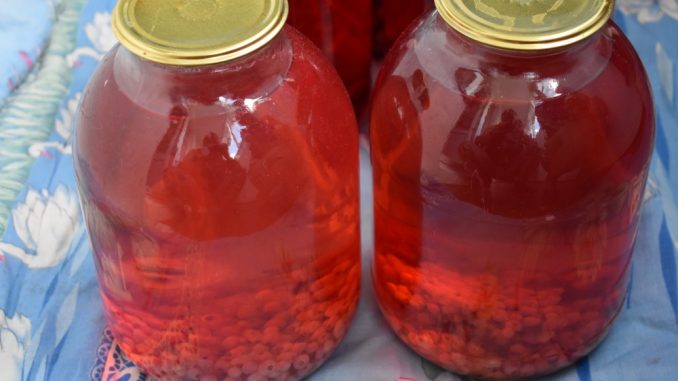 Компот из красной смородины-04 Компот из красной смородины