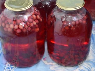 Компот из крыжовника